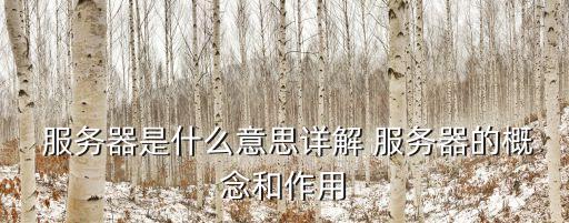  服務器是什么意思詳解 服務器的概念和作用