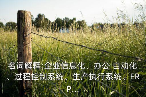 名詞解釋:企業(yè)信息化、辦公 自動(dòng)化、過程控制系統(tǒng)、生產(chǎn)執(zhí)行系統(tǒng)、ERP...