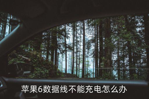 蘋果6數(shù)據(jù)線不能充電怎么辦