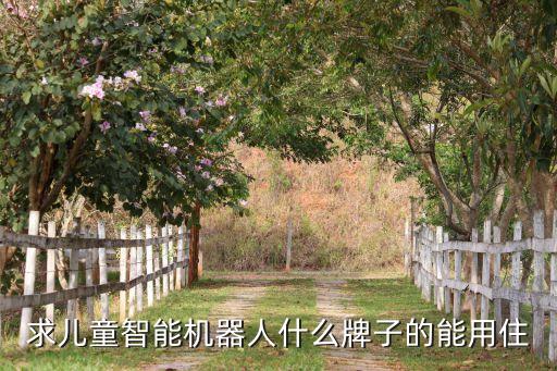 2016年陪伴型機器人,適合老年人玩的機器人有哪些?