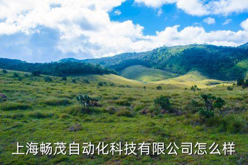 上海暢茂自動化科技有限公司怎么樣