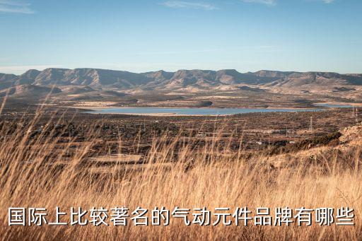 國(guó)際上比較著名的氣動(dòng)元件品牌有哪些