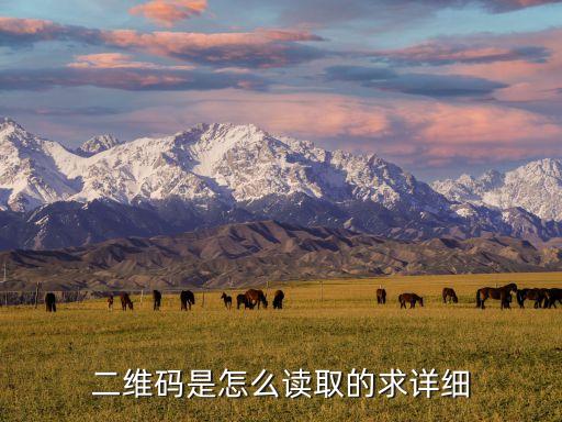 二維碼是怎么讀取的求詳細(xì)