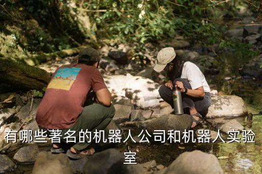 益陽市自動化公司有哪些,中國做自動化設(shè)備的公司有哪些?