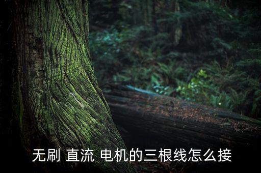  無刷 直流 電機(jī)的三根線怎么接