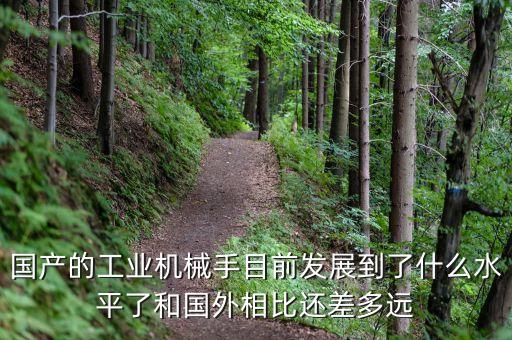 國產(chǎn)的工業(yè)機械手目前發(fā)展到了什么水平了和國外相比還差多遠(yuǎn)
