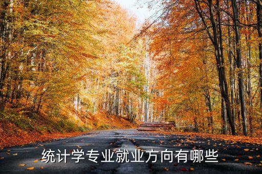 統(tǒng)計(jì)學(xué)專業(yè)就業(yè)方向有哪些