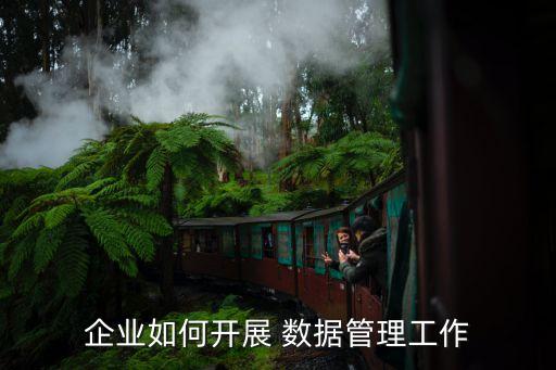 企業(yè)如何開展 數(shù)據(jù)管理工作