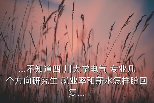 川大自動化本科專業(yè)就業(yè),川大電氣工程及其自動化就業(yè)