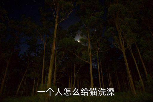 一個(gè)人怎么給貓洗澡