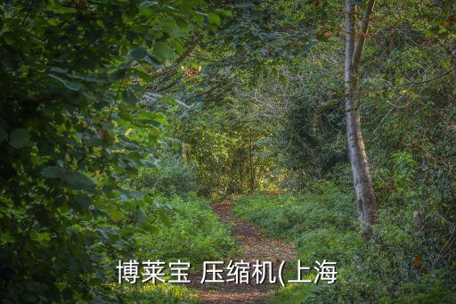 博萊寶 壓縮機(上海