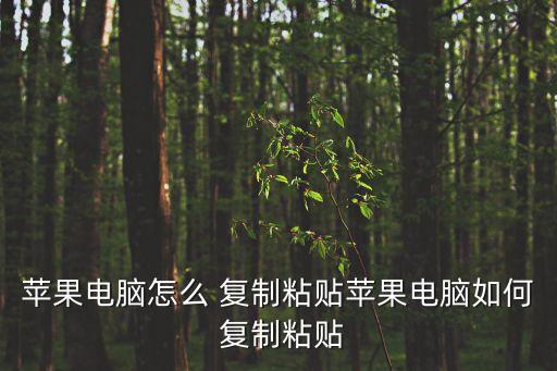 蘋果電腦怎么 復(fù)制粘貼蘋果電腦如何 復(fù)制粘貼