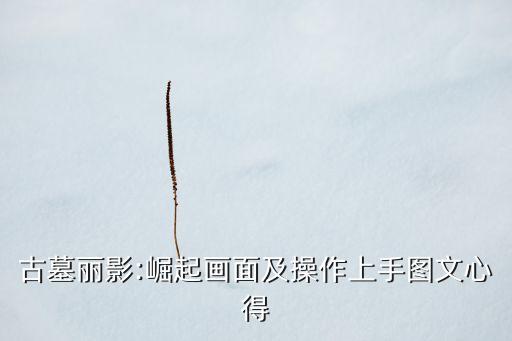 古墓麗影:崛起畫面及操作上手圖文心得