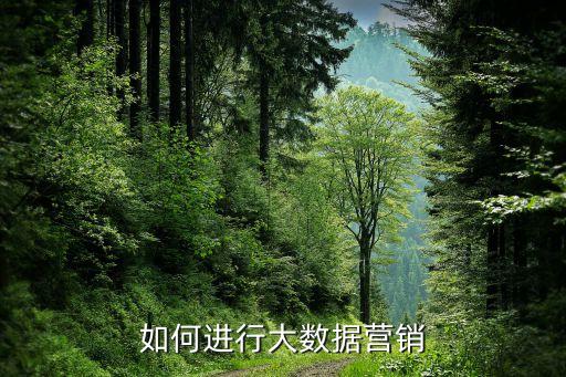 如何進行大數(shù)據(jù)營銷