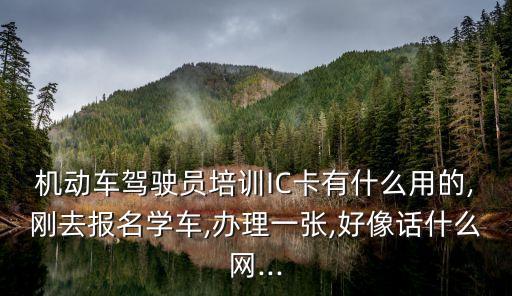 機(jī)動(dòng)車駕駛員培訓(xùn)IC卡有什么用的,剛?cè)?bào)名學(xué)車,辦理一張,好像話什么網(wǎng)...