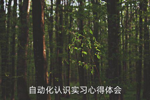 電氣自動(dòng)化控制   總結(jié),電氣專(zhuān)業(yè)實(shí)習(xí)總結(jié)電氣并非電器