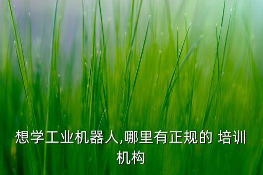 想學(xué)工業(yè)機器人,哪里有正規(guī)的 培訓(xùn)機構(gòu)