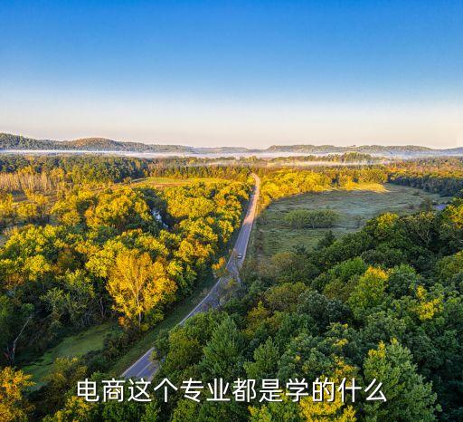 電商這個(gè)專業(yè)都是學(xué)的什么