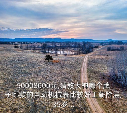 50008000元,請教大神哪個牌子哪款的自動機械表比較好工薪階層,35歲...