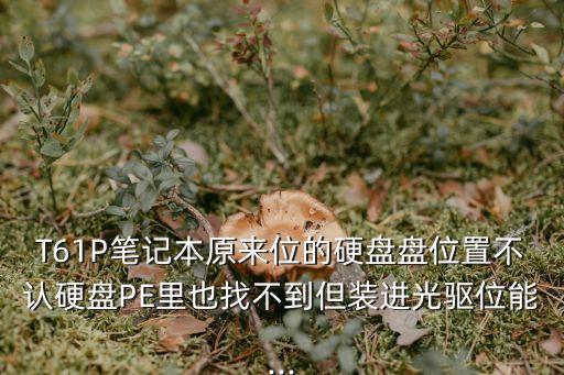 T61P筆記本原來(lái)位的硬盤盤位置不認(rèn)硬盤PE里也找不到但裝進(jìn)光驅(qū)位能...