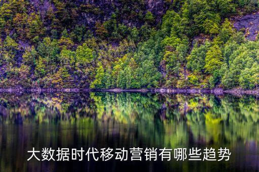 大數(shù)據(jù)時代移動營銷有哪些趨勢