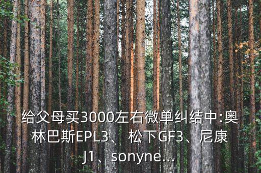 松下 gf3 充電 數(shù)據(jù)線充電