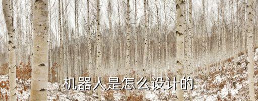 機(jī)器人是怎么設(shè)計(jì)的