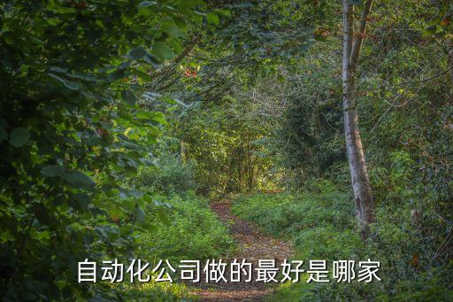  自動(dòng)化公司做的最好是哪家