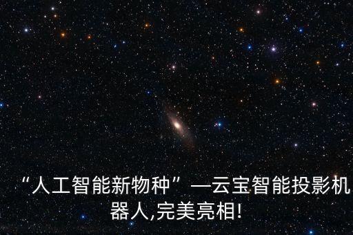 投射機(jī)器人設(shè)計(jì)方案,智能迎賓機(jī)器人工程案例序號