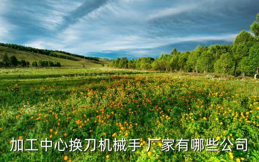 加工中心換刀機(jī)械手 廠家有哪些公司