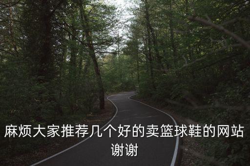 麻煩大家推薦幾個(gè)好的賣(mài)籃球鞋的網(wǎng)站謝謝