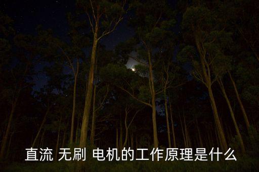 直流無刷電機