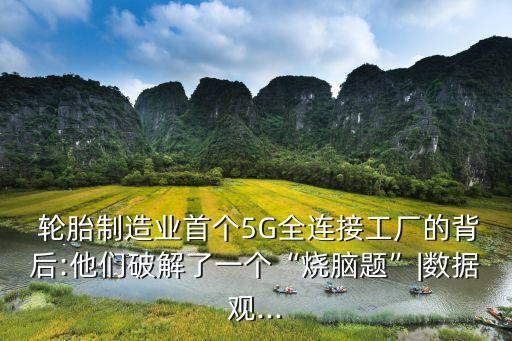  輪胎制造業(yè)首個(gè)5G全連接工廠的背后:他們破解了一個(gè)“燒腦題”|數(shù)據(jù)觀...