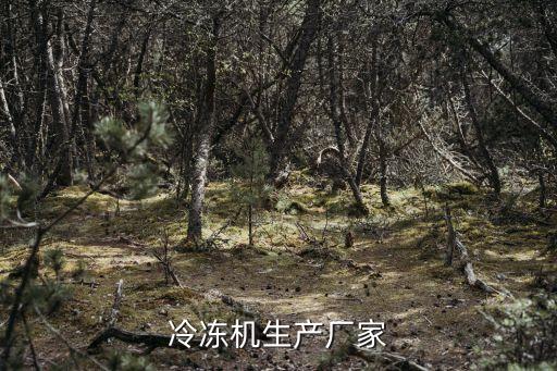 冷凍機(jī)生產(chǎn)廠家