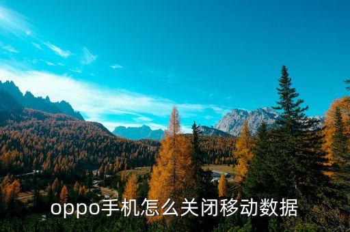 手機(jī)數(shù)據(jù)功能怎么關(guān)閉,蘋果手機(jī)怎么關(guān)閉數(shù)據(jù)流量?