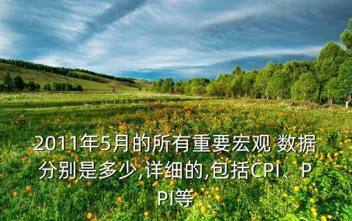 2011年5月的所有重要宏觀 數(shù)據(jù)分別是多少,詳細(xì)的,包括CPI、PPI等