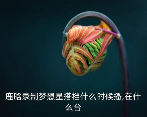 cctv2做客大數(shù)據(jù)鹿晗,鹿晗是大數(shù)據(jù)時代的開創(chuàng)者