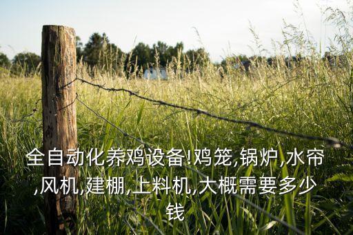 全自動(dòng)化養(yǎng)雞設(shè)備!雞籠,鍋爐,水簾,風(fēng)機(jī),建棚,上料機(jī),大概需要多少錢