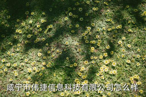 咸寧市偉捷信息科技有限公司怎么樣
