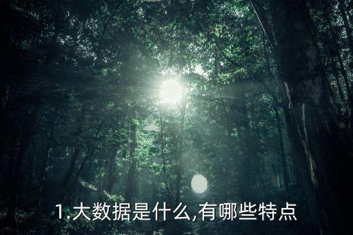 1.大數(shù)據(jù)是什么,有哪些特點(diǎn)