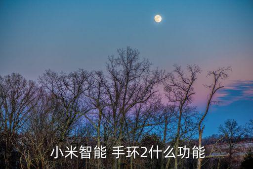  小米智能 手環(huán)2什么功能