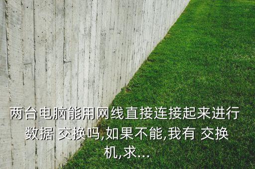 兩臺電腦能用網(wǎng)線直接連接起來進行 數(shù)據(jù) 交換嗎,如果不能,我有 交換機,求...