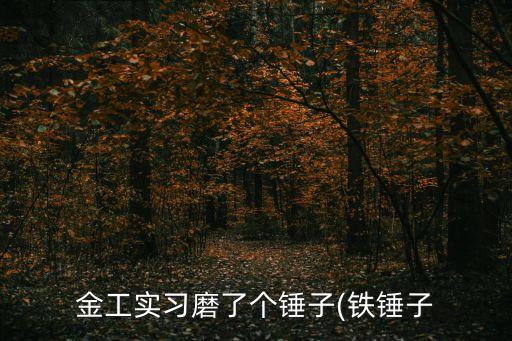 金工實(shí)習(xí)磨了個(gè)錘子(鐵錘子
