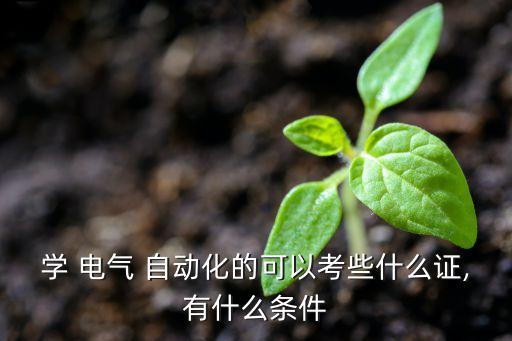 電氣自動化高級