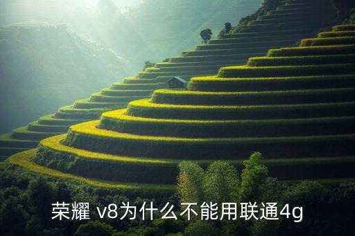 榮耀 v8為什么不能用聯(lián)通4g