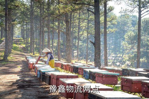 豫鑫物流網(wǎng)點