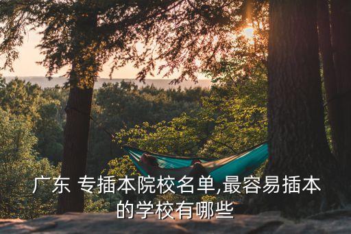 廣東電氣自動(dòng)化專業(yè)專插本