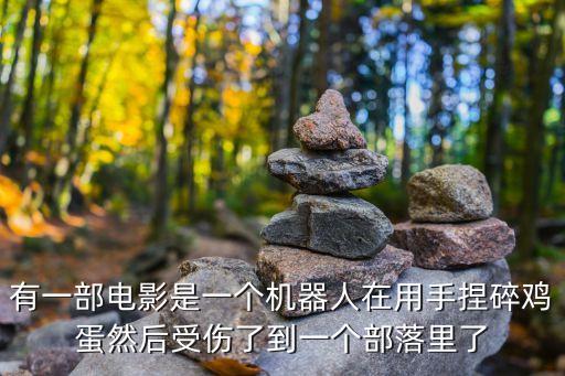 有一部電影是一個(gè)機(jī)器人在用手捏碎雞蛋然后受傷了到一個(gè)部落里了