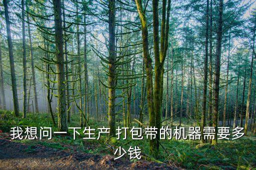 我想問(wèn)一下生產(chǎn) 打包帶的機(jī)器需要多少錢(qián)