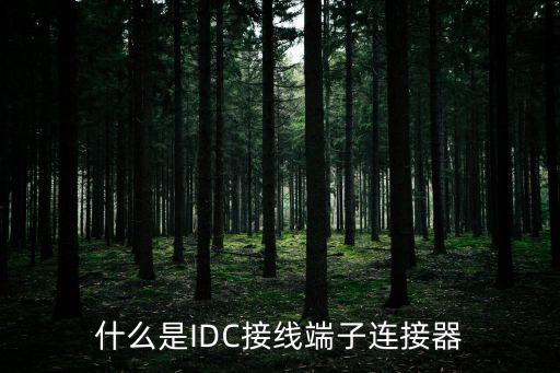 什么是IDC接線端子連接器